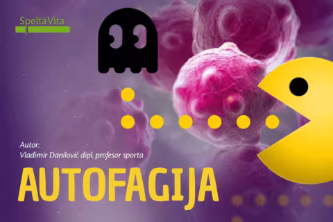 Autofagija